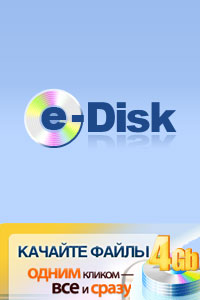   e-Disk     